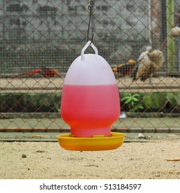 A Pet Water Bottle