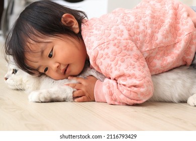 Pet White Cat And Kid