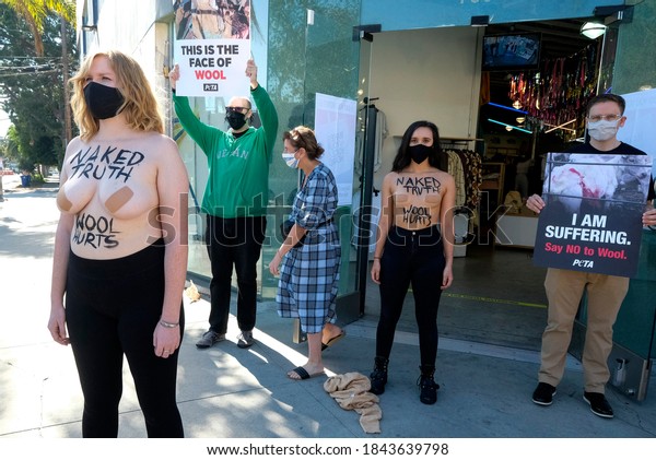 Peta Activists Revealing Naked Truth Wool Stock Photo Shutterstock
