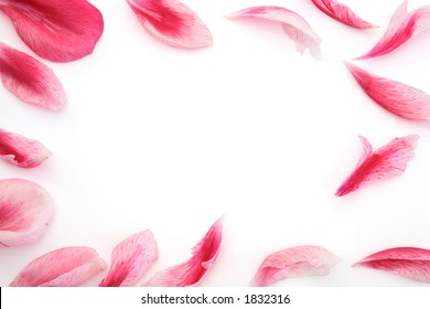 Fallen Flowers Images, Stock Photos & Vectors | Shutterstock
