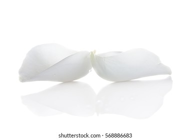 Petal Whited Rose Isolated On White Background.