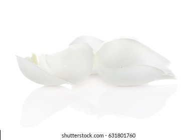 Petal Whited Rose Isolated On White Background.