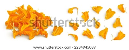 petals of fresh marigold or tagetes erecta flower isolated on white background with full depth of field