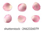Petals on white. Florals Rose petals on floor, symbolic flower heart shape petals of love on a plain white background. Lovely beautiful rose pink pastel petal background