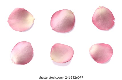 Petals on white. Florals Rose petals on floor, symbolic flower heart shape petals of love on a plain white background. Lovely beautiful rose pink pastel petal background - Powered by Shutterstock