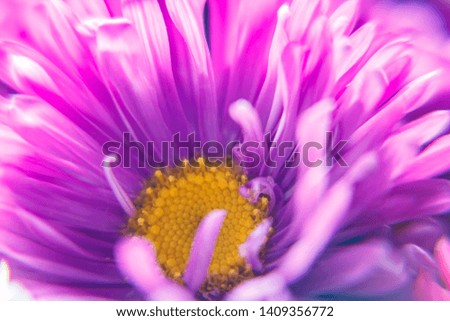 Similar – Image, Stock Photo teletom magenta