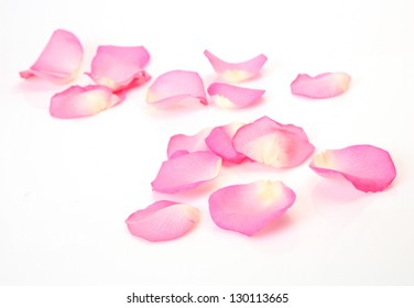 Petals Roses On White Background Stock Photo (Edit Now) 130113665