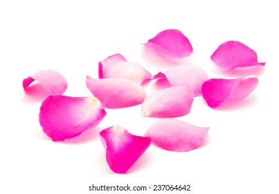 Petals Roses On White Background Stock Photo (Edit Now) 130113665