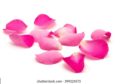 Petals Roses On White Background Stock Photo 399223573 | Shutterstock