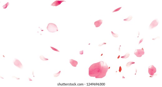 Petals Stock Image with blur effect - Powered by Shutterstock