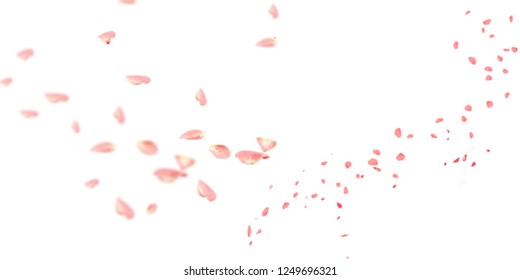 png flower Images, Stock Photos & Vectors | Shutterstock