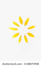 Petals Of Sunflower, Sunflower Petals On White Background, Yellow Petals