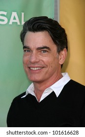 Peter Gallagher At The NBC Summer Press Tour Party, Beverly Hilton Hotel, Beverly Hills, CA. 07-30-10