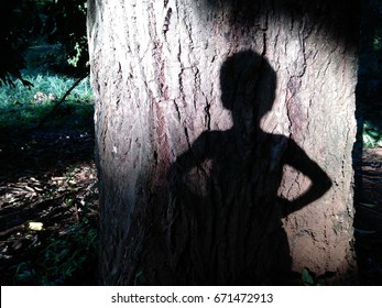 Peter Pan Shadow