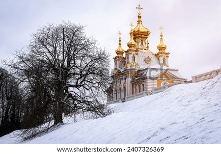 Peterhof palace, The gilded domes of the court church of the Holy Apostles Peter and Paul, built by order of Empress Elizabeth Petrovna in 1751, snow on the ground.