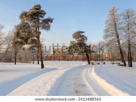 PETERHOF, RUSSIA - DECEMBER 07, 2023: Beautiful view of the path in Alexandria Park, in a December winter landscape, with the Gothic palace stables in the background. Alexandria Park, St. Petersburg