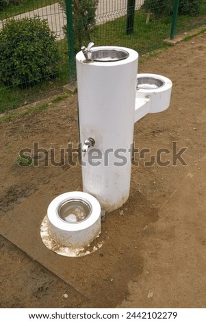 A pet-friendly dual-level water fountain designed for both humans and dogs in a park, showing the taller spout and basin alongside a lower dog bowl.