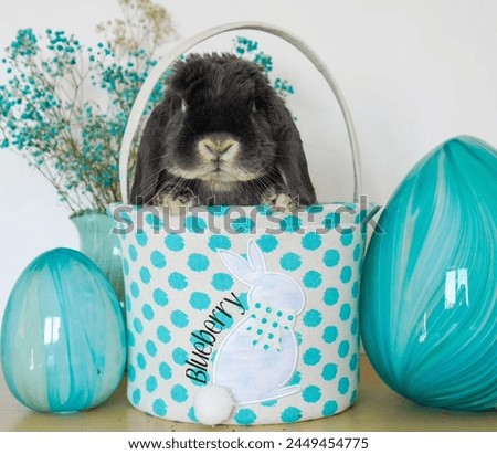 A petite black bunny is nestled in an aqua blue and white polka dot fabric basket, which features a white bunny applique. The basket is equipped with a light blue handle.