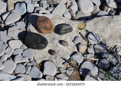 Petoskey stones are actually former underseas fossils found in Lake Michigan around the shores of Little Traverse Bay near Petoskey, Michigan. - Shutterstock ID 2251624373