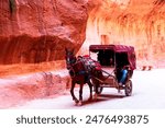 Petra, Jordan: Horse drawning a carriage for tourists transportation to the Treasury through Siq canyon. Middle east travel destination