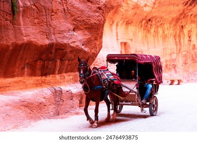 Petra, Jordan: Horse drawning a carriage for tourists transportation to the Treasury through Siq canyon. Middle east travel destination - Powered by Shutterstock