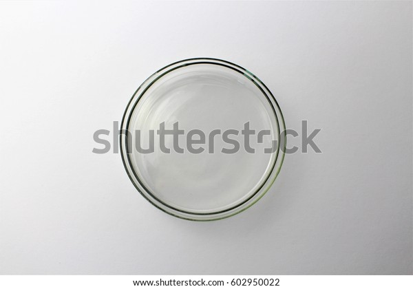 ペトリ皿 ペトリエ皿 ペトリ皿 細胞培養皿 円筒形のガラスまたはプラスチック製の蓋付き皿で 細菌やコケなどの細胞を培養するのに用いられる の写真素材 今すぐ編集