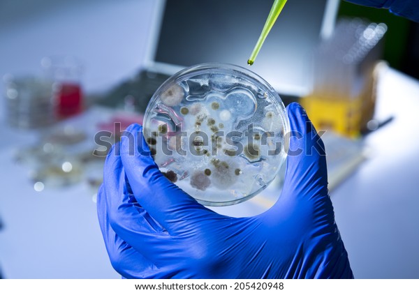 Petri Dish with\
Bacteria in Chemical Lab