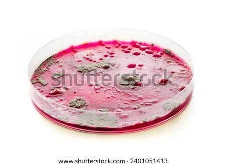Petri dish with colonies of pathogenic fungi on a white background