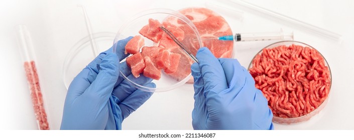 Petri dish with cultured meat in laboratory. Concept of clean meat cultured. Panorama, banner - Shutterstock ID 2211346087