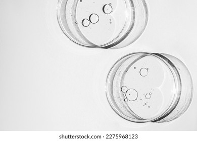 Petri dish. Petri cups with liquid. Kit. Chemical elements, oil, cosmetics. Gel, water, molecules, viruses. Close-up. On a white background.