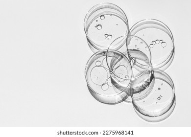 Petri dish. Petri cups with liquid. Kit. Chemical elements, oil, cosmetics. Gel, water, molecules, viruses. Close-up. On a white background.