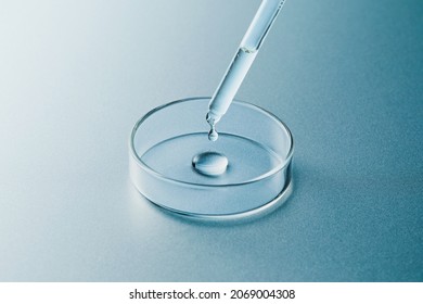 Petri dish and dropper on silver blue background
