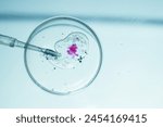 Petri dish with embryo sample in IVF laboratory