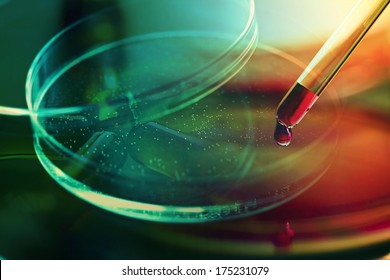 Petri Dish. Laboratory Concept.