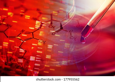 Petri Dish. Laboratory Concept.