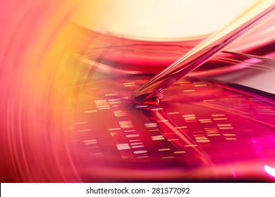 Petri Dish. Laboratory Concept.