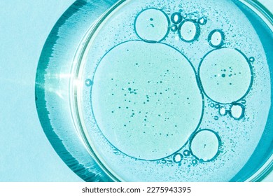 Petri dish. Petri's cup with liquid. Chemical elements, oil, cosmetics. Gel, water, molecules, viruses. Close-up. On a blue background.