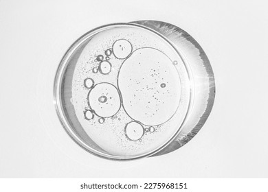 Petri dish. Petri's cup with liquid. Chemical elements, oil, cosmetics. Gel, water, molecules, viruses. Close-up. On a white background. - Powered by Shutterstock