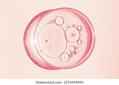 Petri dish. Petri's cup with liquid. Chemical elements, oil, cosmetics. Gel, water, molecules, viruses. Close-up. On a pink background.