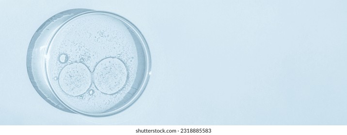 Petri dish. Petri's cup with liquid. Chemical elements, oil, cosmetics. Gel, water, molecules, viruses. Close-up. On a blue background. - Shutterstock ID 2318885583