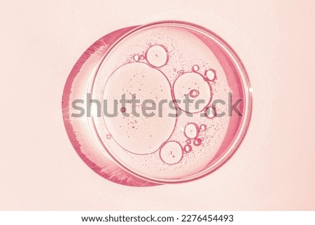 Petri dish. Petri's cup with liquid. Chemical elements, oil, cosmetics. Gel, water, molecules, viruses. Close-up. On a pink background.