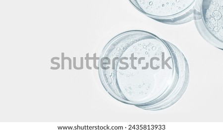 Petri dish. Petri's cup with liquid. Chemical elements, oil, cosmetics. Gel, water, molecules, viruses. Close-up. On a white background.
