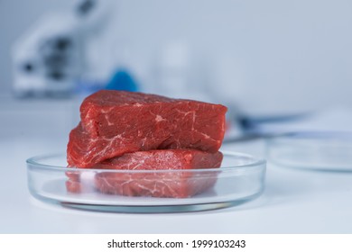 Petri dish with pieces of raw cultured meat on white table in laboratory, closeup. Space for text