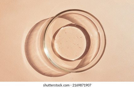 petri dish with transparent helium serum - Shutterstock ID 2169871907