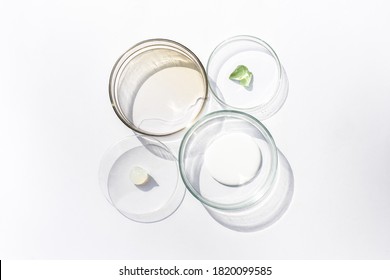 Petri dishes with cosmetic on white background. Top view, flat lay. Concept skincare. Dermatology science cosmetic laboratory. Natural medicine, cosmetic research, organic skin care products.