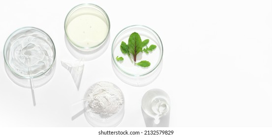 Petri dishes with cosmetic on white background. Top view, Dermatology science cosmetic laboratory. Natural medicine, cosmetic research, organic skin care products. copy space, banner