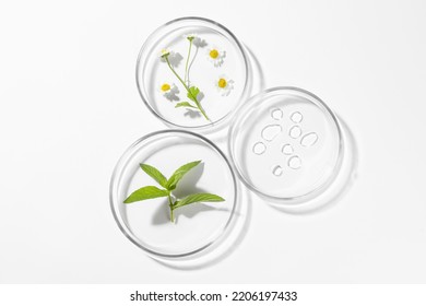 Petri dishes with different plants and cosmetic product on white background, top view - Shutterstock ID 2206197433