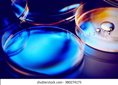 Petri dishes. Laboratory concept.
