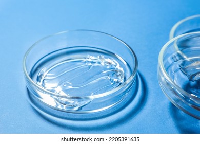 Petri dishes with liquids on blue background, closeup - Shutterstock ID 2205391635