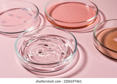 Petri dishes with liquids on pale pink background, closeup - Shutterstock ID 2206197461